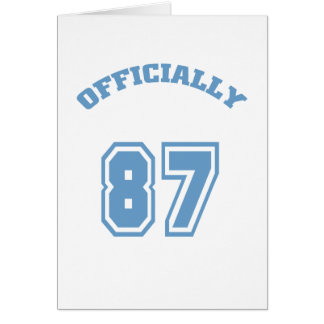 Offiziell 87