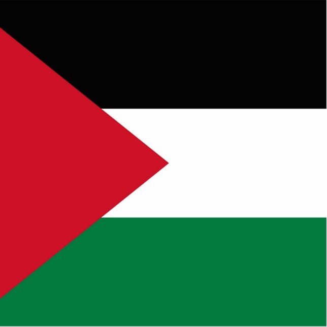 offiziell Staat der palästinensischen Landesflagge Fotoskulptur Magnet (Vorne)