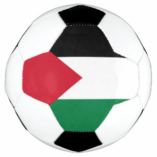 offiziell Staat der palästinensischen Landesflagge Fußball