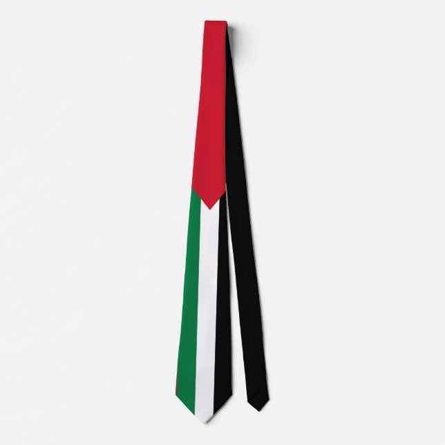 offiziell Staat der palästinensischen Landesflagge Krawatte (Vorderseite)