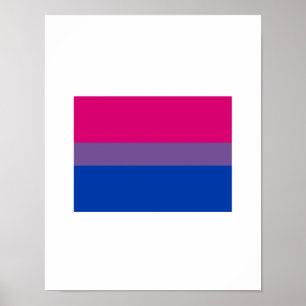 OFFIZIELLE BISEXUELLE PRIDE-FLAGGE POSTER