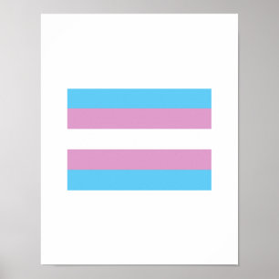 OFFIZIELLE TRANSGENDER-PRAID-FLAGGE POSTER