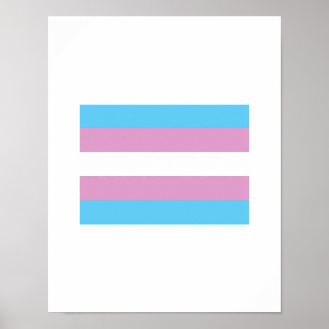 OFFIZIELLE TRANSGENDER-PRAID-FLAGGE POSTER (Vorne)