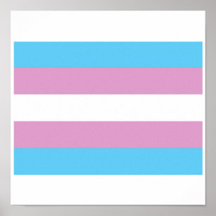 OFFIZIELLE TRANSGENDER-STOLZFALTE POSTER