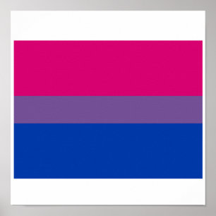OFFIZIELLER BISEXUELLER PRIDE FLAG POSTER