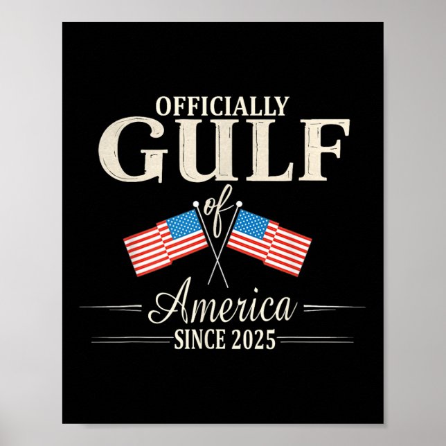 Offizieller USA-Golf 20 Poster (Vorne)