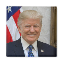 Offizielles Porträt von Präsident Donald Trump 201