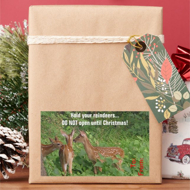 Öffnen Sie nicht bis Weihnachten Hirsch Geschenkst Rechteckiger Aufkleber (Feiertag)