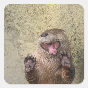Öffnen Sie sich weit! Otter-Aufkleber Quadratischer Aufkleber