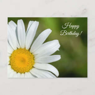 Offset Daisy Bonne Carte postale Anniversaire