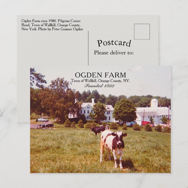 Ogden Farm Town of Wallkill Orange Landkreis NY 19 Postkarte (Vorne/Hinten)