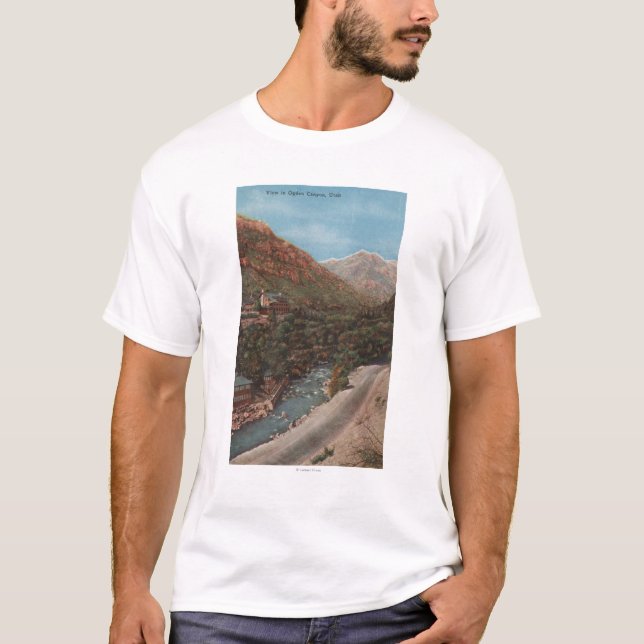 Ogden, Utah- - Ogdenschlucht-Ansicht u. Fluss T-Shirt (Vorderseite)