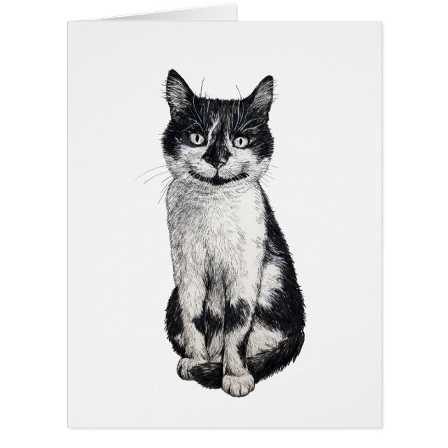 Ogie die Katze (Vorderseite)