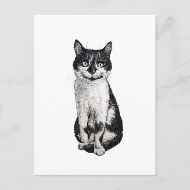 Ogie die Katze Postkarte (Vorderseite)