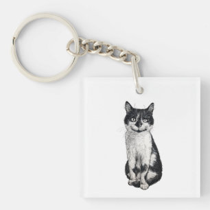 Ogie le chat