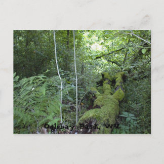 Oglebay Park, WV Postkarte