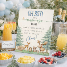 Oh Boy Mom-osa Bar Waldtier-Baby-Party