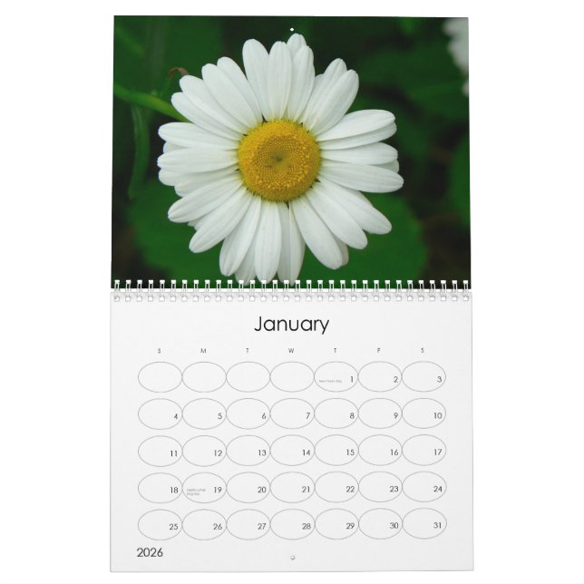 Oh calendrier mural de marguerite (Jan 2026)