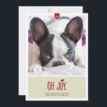 Oh Feiertags-Foto-Karte der Freude-| lustige Feiertagskarte<br><div class="desc">Eine snarky Feiertags-Fotokarte,  welche kennzeichnet die sarkastische Phrasen"oh Freude." Der Entwurf umfaßt auch eine niedliche Weihnachtsmannmütze,  die auf der roten Beschriftung sitzt.</div>