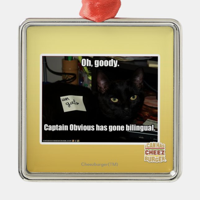 Oh, gute Sachen Silbernes Ornament (Vorne)