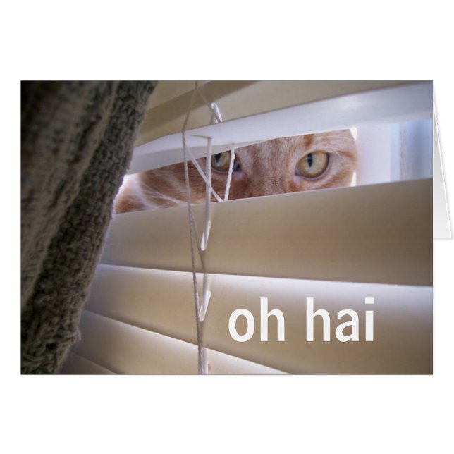 Oh Hai - Katze im Fenster (Vorderseite (Horizontal))