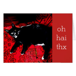 Oh Hai Thx Carte de remerciements personnalisable