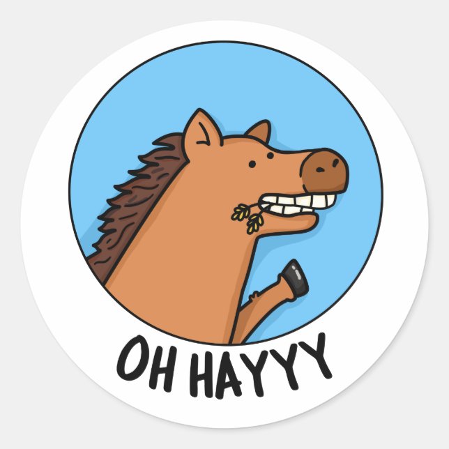 Oh Hayyy Funny Horse Pub Runder Aufkleber (Vorderseite)