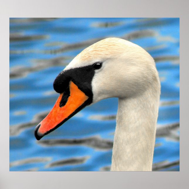 Oh hello poster (Vorne)