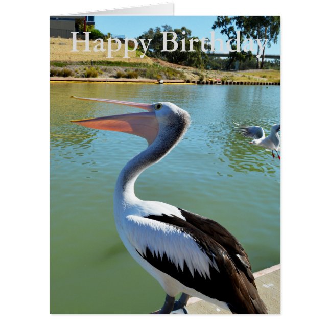 Oh Im A Happy Pelican Tra Lah, Big Birthday Card (Vorderseite)