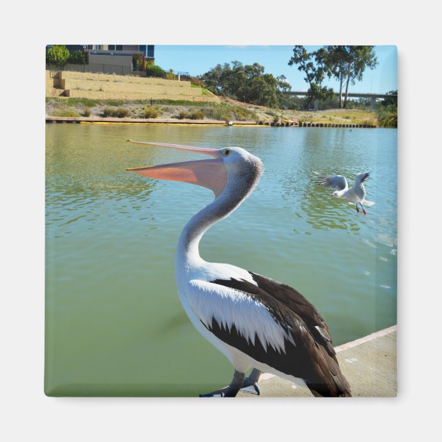 Oh Im a Happy Pelican Tra Lah, Kühlschrankmagnet (Vorne)