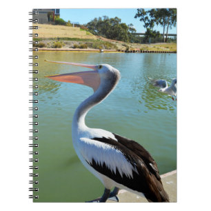 Oh Je Suis Un Joyeux Pelican Tra Lah, Carnet