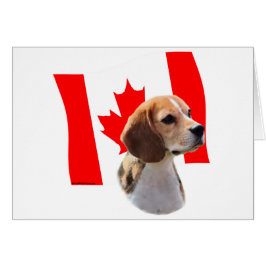 Oh, Kanada...und Beagle.