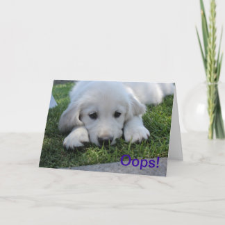 Oh là là !, je suis carte désolée d'excuses