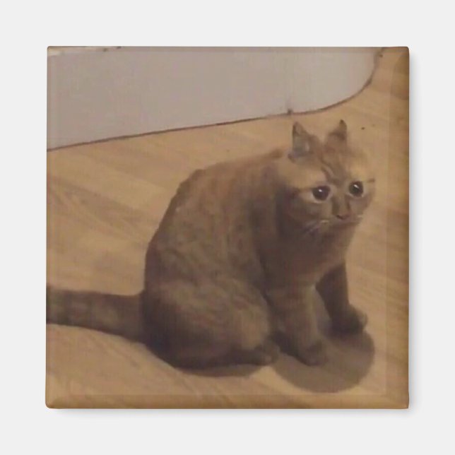 Oh nein Cringe-Katzen-Meme Magnet (Vorne)
