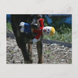 Oh-No Mr. Bill Postcard Postkarte