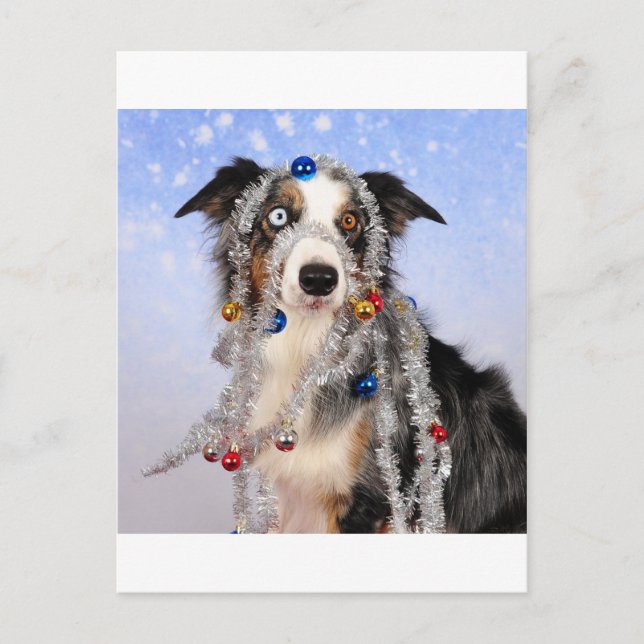 Oh-oh Postkarte (Vorderseite)