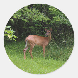 Oh Rotwild! Runder Aufkleber