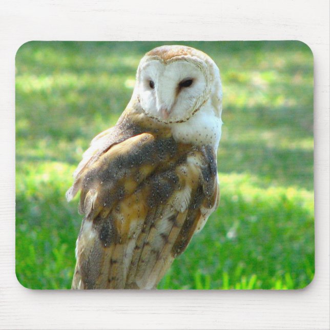 Oh Schleiereule Mousepad (Vorne)