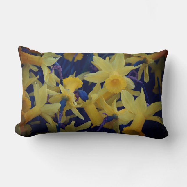 Oh, so viele Daffodien Akzent Lumbar Kissen (Vorderseite)