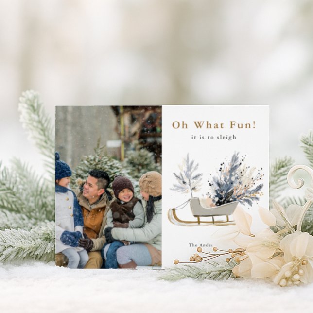 Oh, was Fun Sleigh Ride Foto Weihnachten (Von Creator hochgeladen)