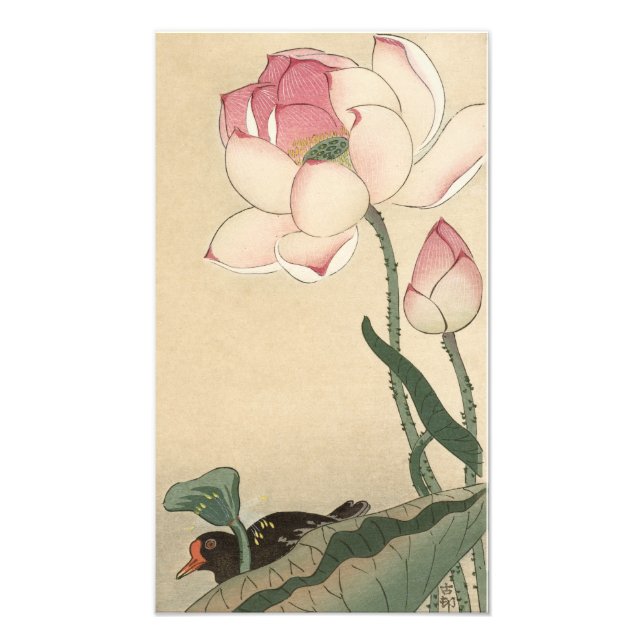 Ohara Koson, Lotus Blume - Japanische Kunst Fotodruck (Vorne)
