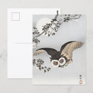Ohara Koson Scops Owl Cherry Blossoms & Moon Postkarte