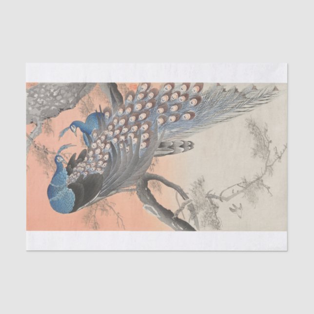 Ohara Koson | Zwei Pfauen auf dem Zweig Bäume Seidenpapier (Vorderseite)