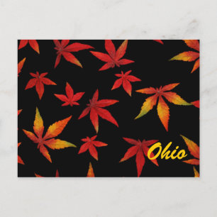 Ohio Automne Feuilles Carte Postale