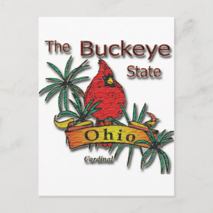 Ohio Buckeye Kardinal Postkarte