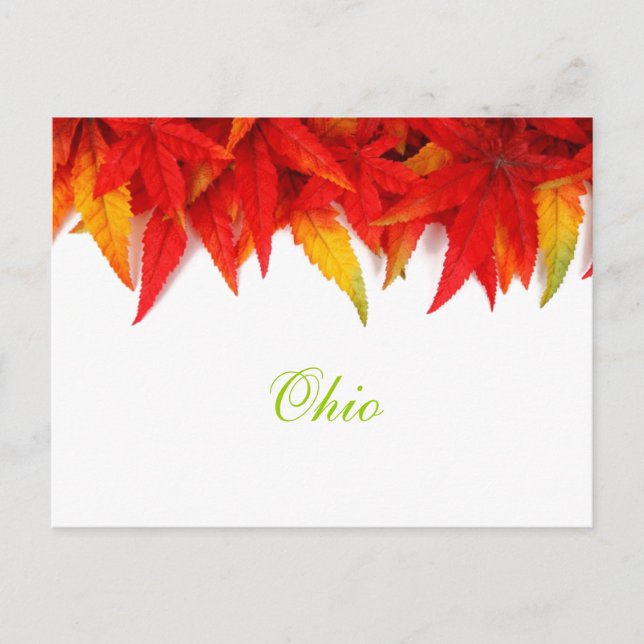Ohio Herbstleaves Postkarte (Vorderseite)