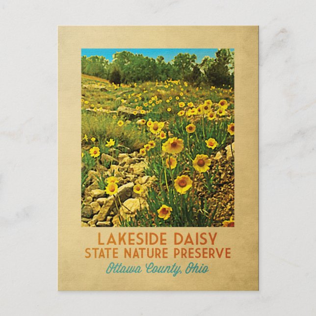 Ohio Lakeside Daisy Preserve Postkarte (Vorderseite)