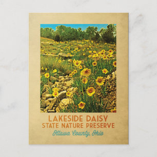 Ohio Lakeside Gänseblümchen-Schutzgebiet Postkarte