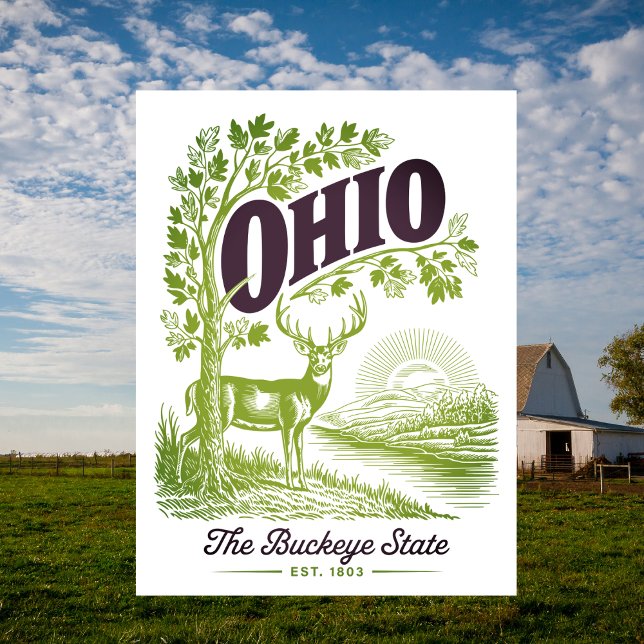 Ohio The Buckeye State Est. 1803 Travel Postkarte (Ohio )