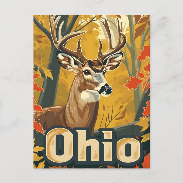 Ohio Weißschwanzhirsche Postkarte (Vorderseite)